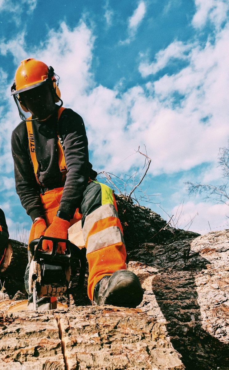 portrait, chainsaw, forest, steal, men, nature, action