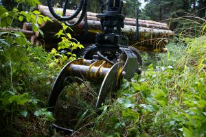 Logging grapple holding cut logs in overgrown forest